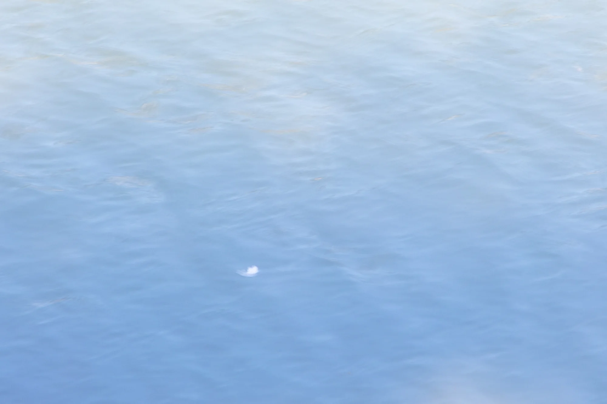 朔、かそけし — 水面の写真